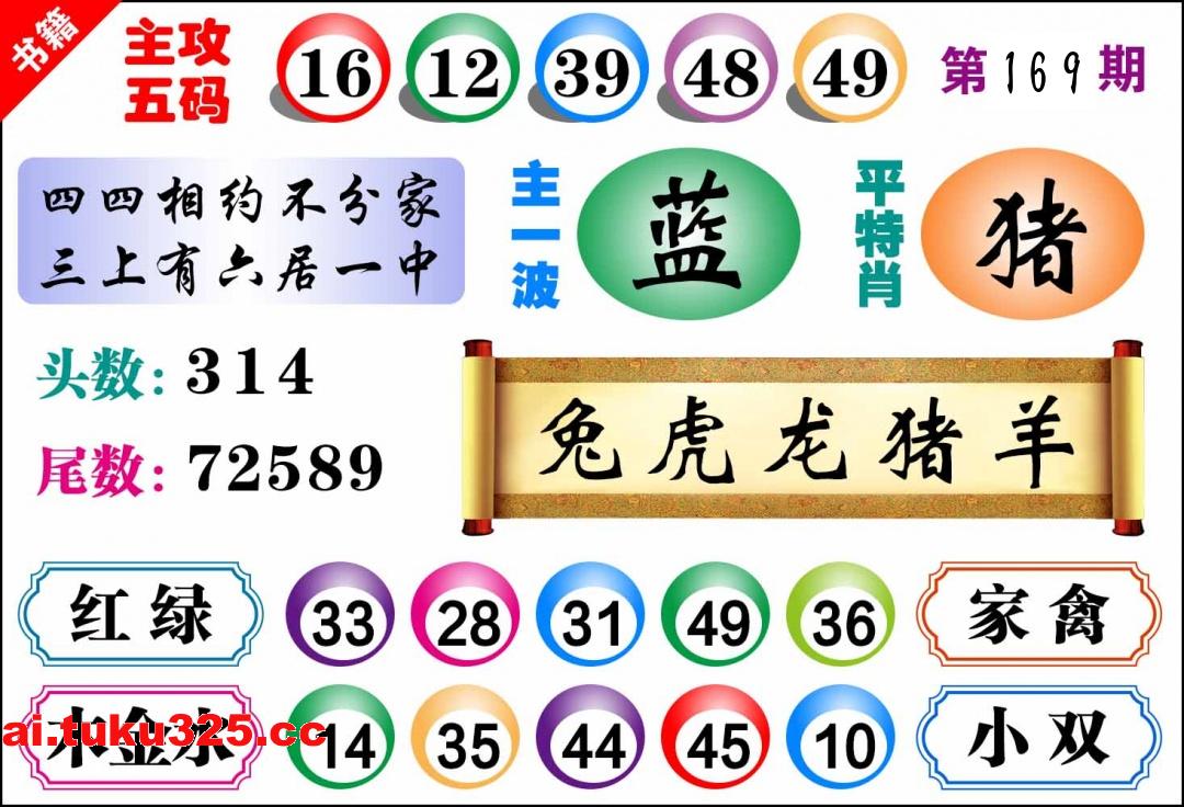 【第169期】雷鋒內幕報 · 玄機大字
