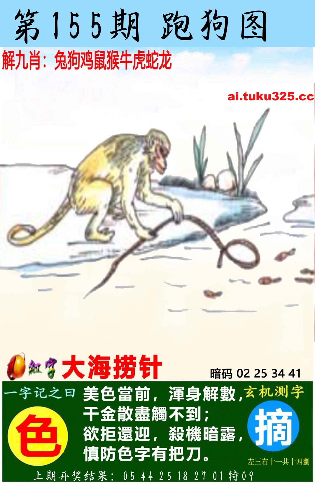 【第155期】南山海上觀音 · 波色方向