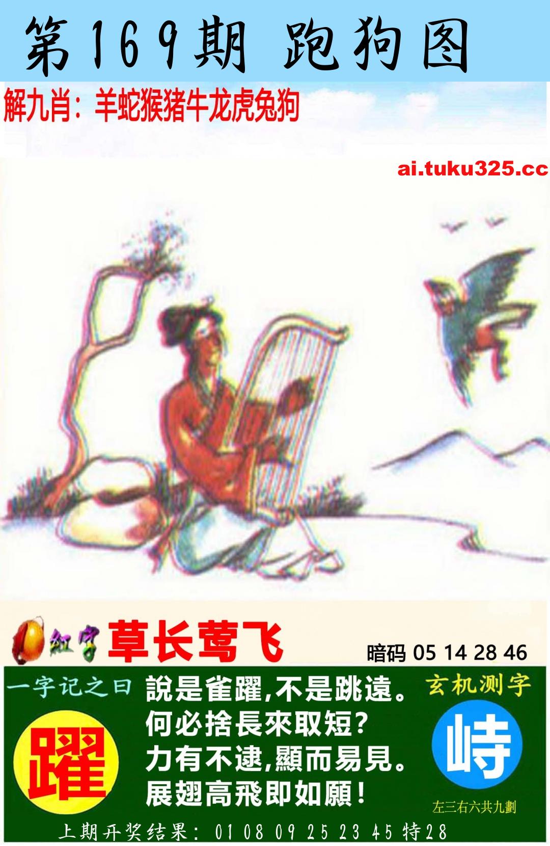 【第169期】南山海上觀音 · 波色方向