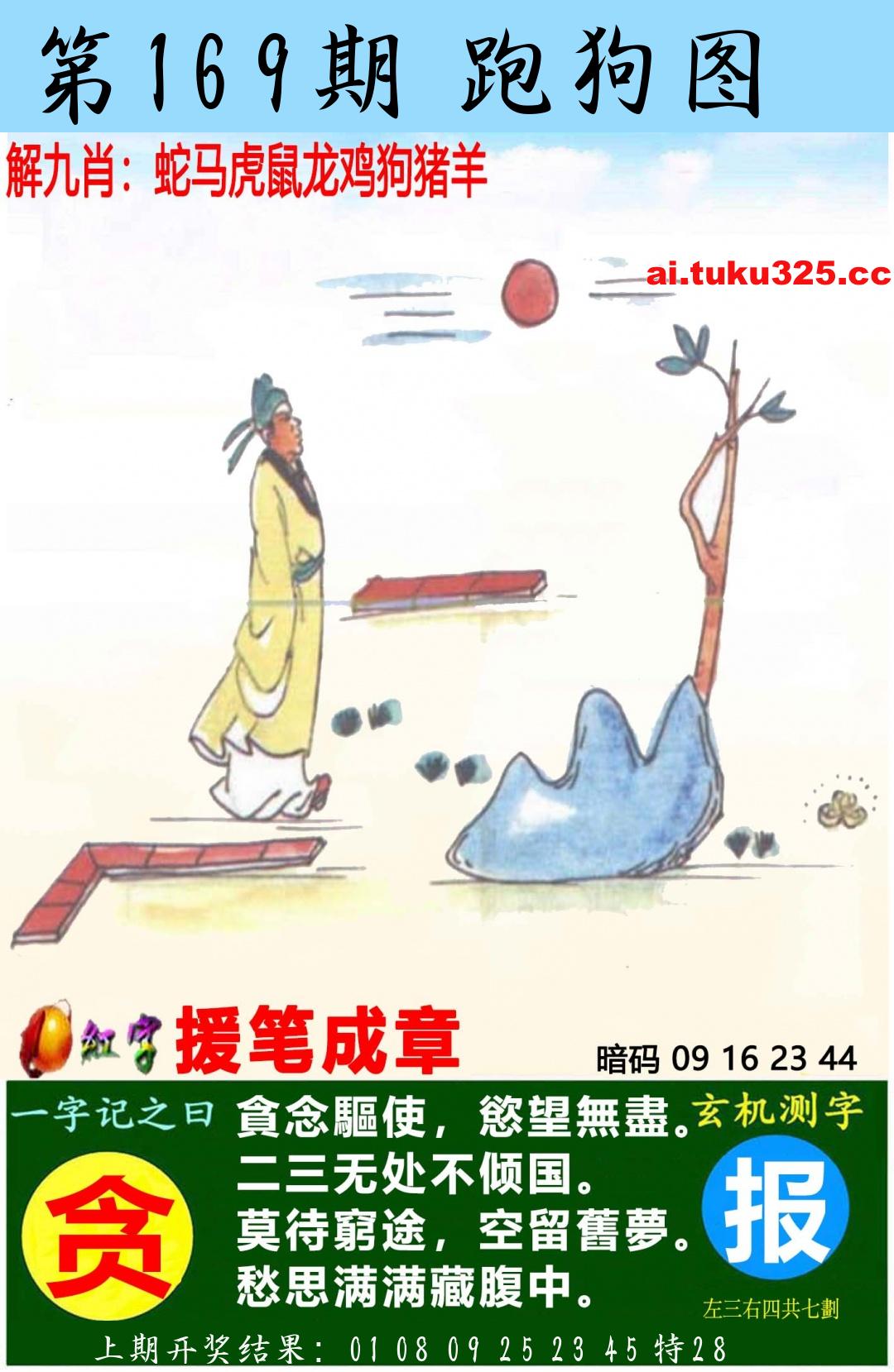 【第169期】南山海上觀音 · 波色方向