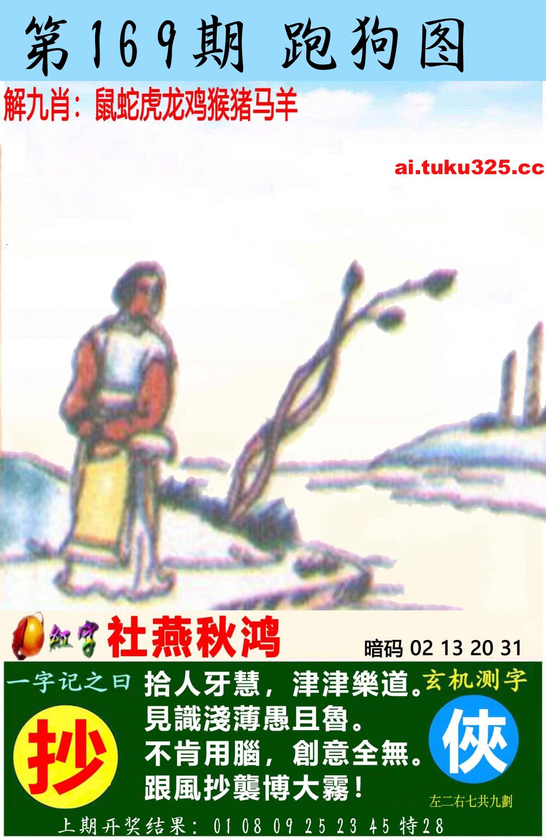 【第169期】南山海上觀音 · 波色方向
