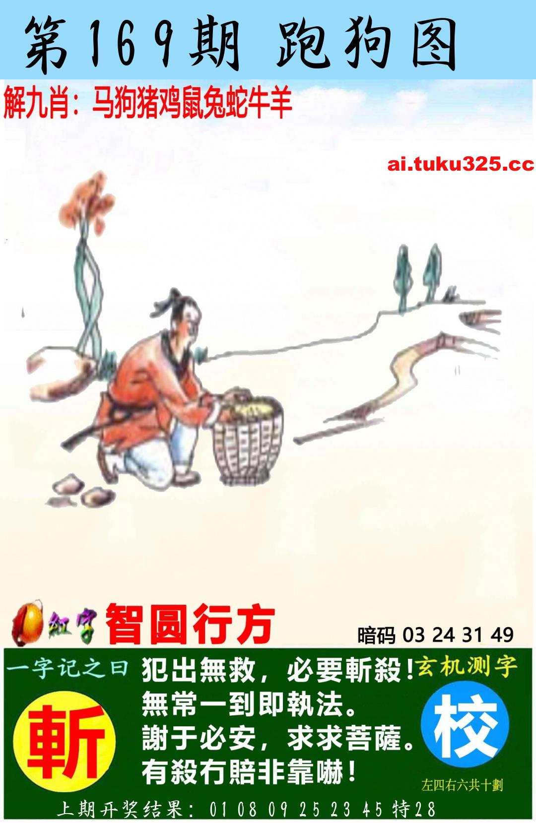 【第169期】南山海上觀音 · 波色方向