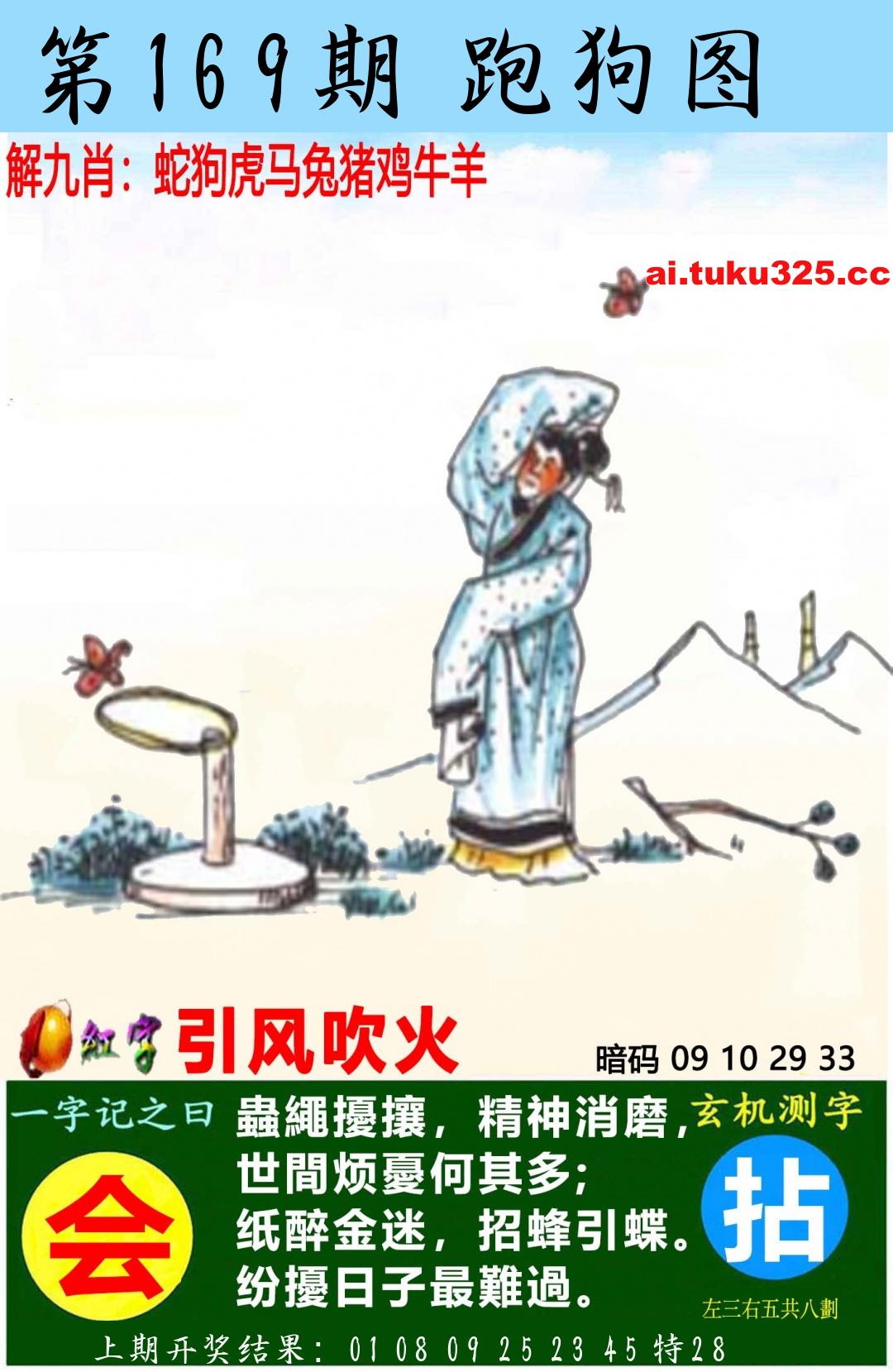 【第169期】南山海上觀音 · 波色方向