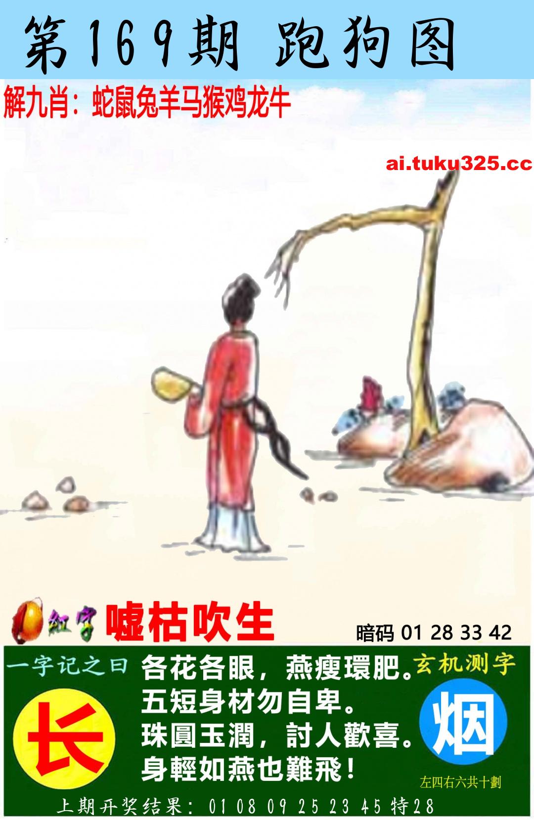 【第169期】南山海上觀音 · 波色方向