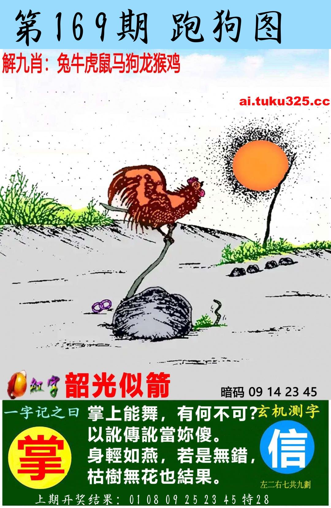 【第169期】南山海上觀音 · 波色方向
