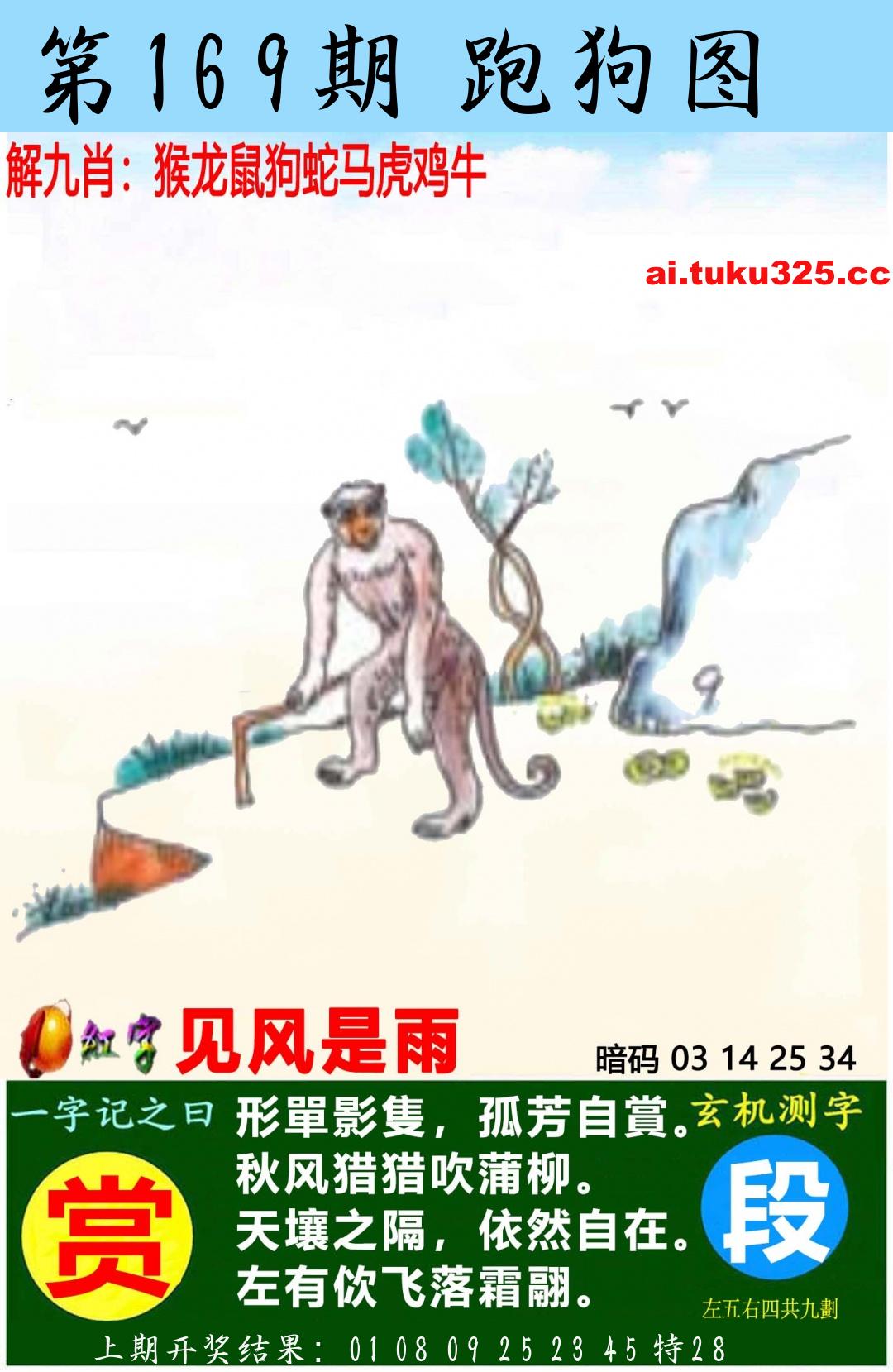 【第169期】南山海上觀音 · 波色方向