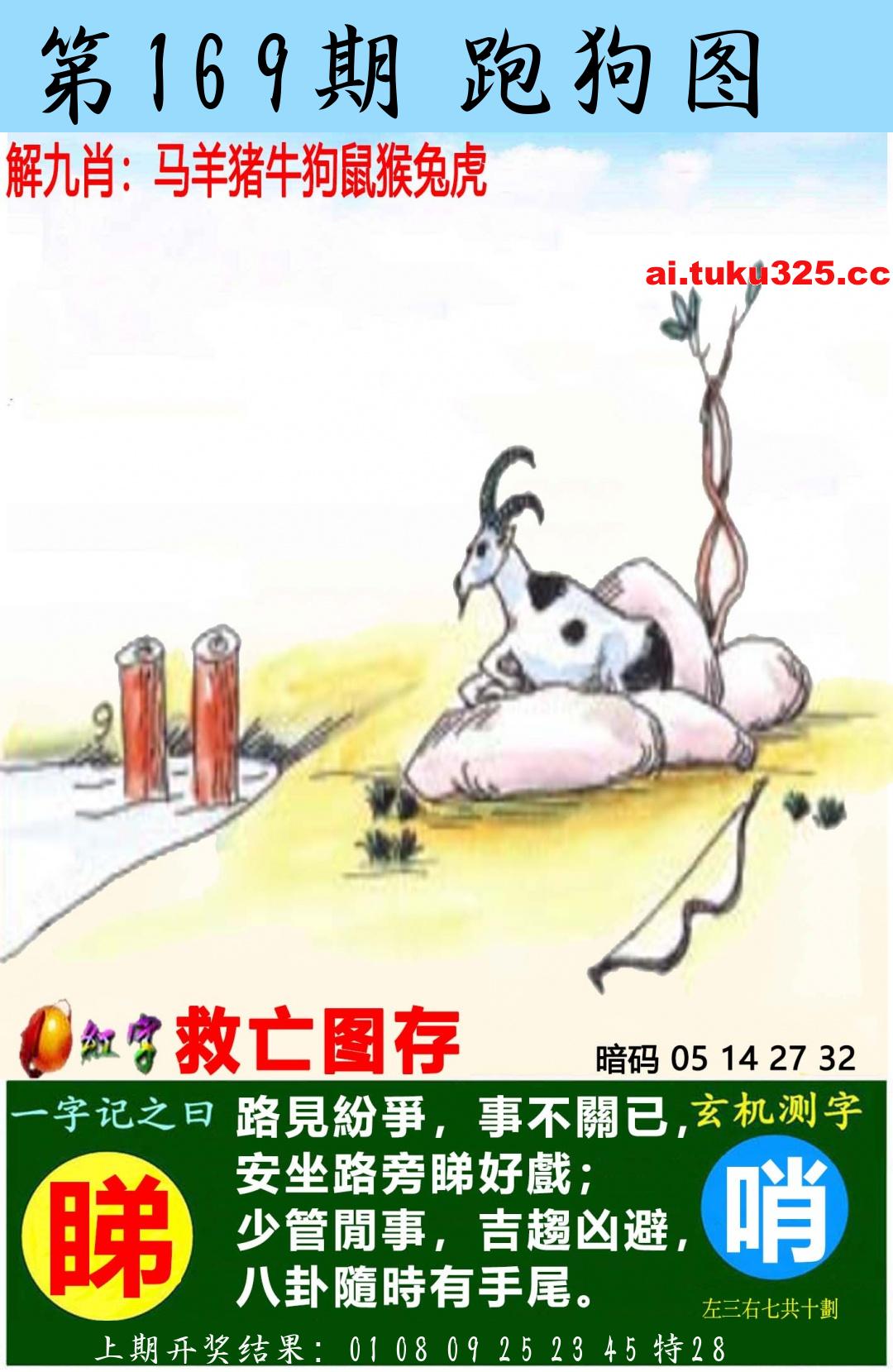【第169期】南山海上觀音 · 波色方向