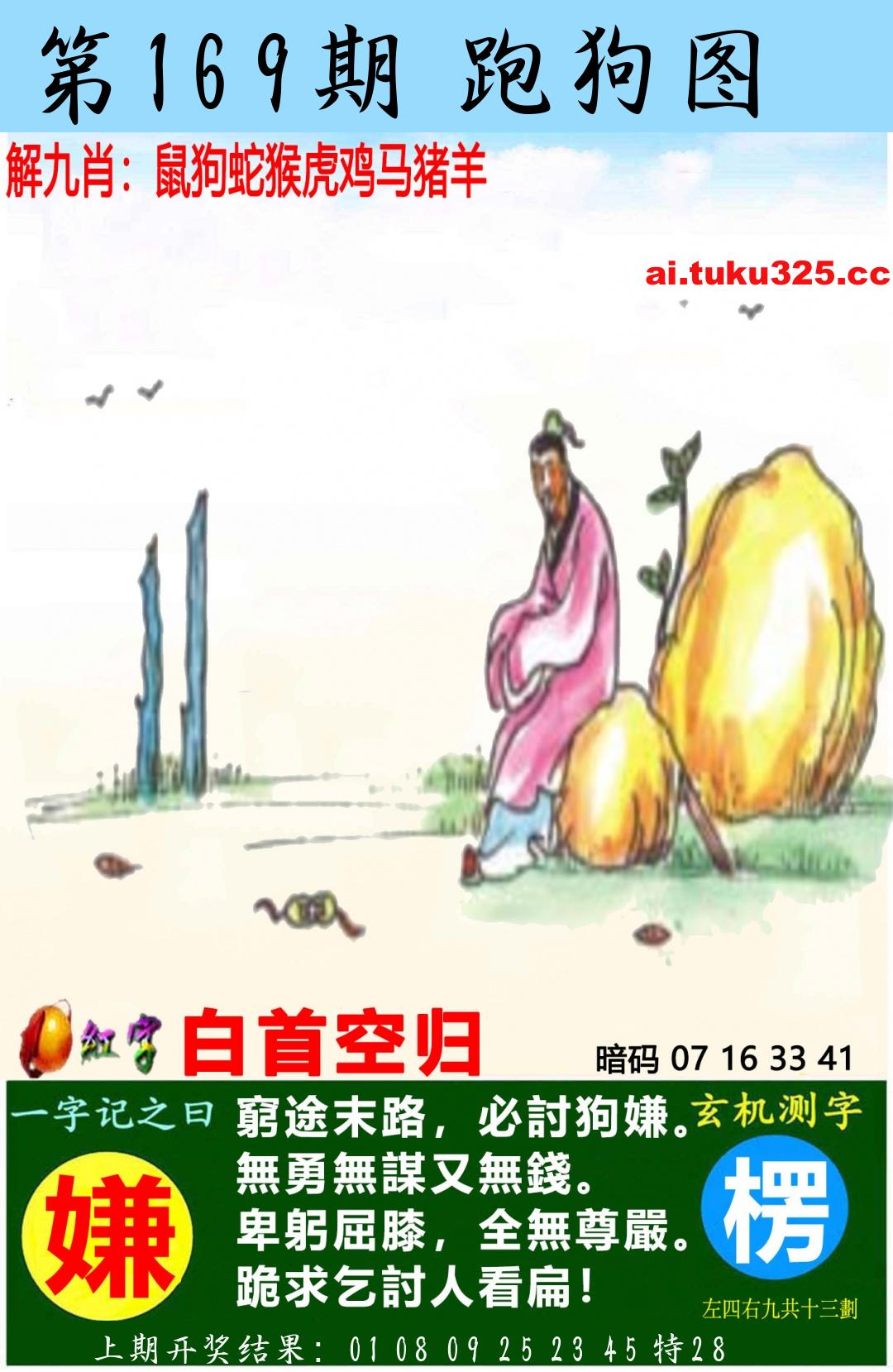 【第169期】南山海上觀音 · 波色方向