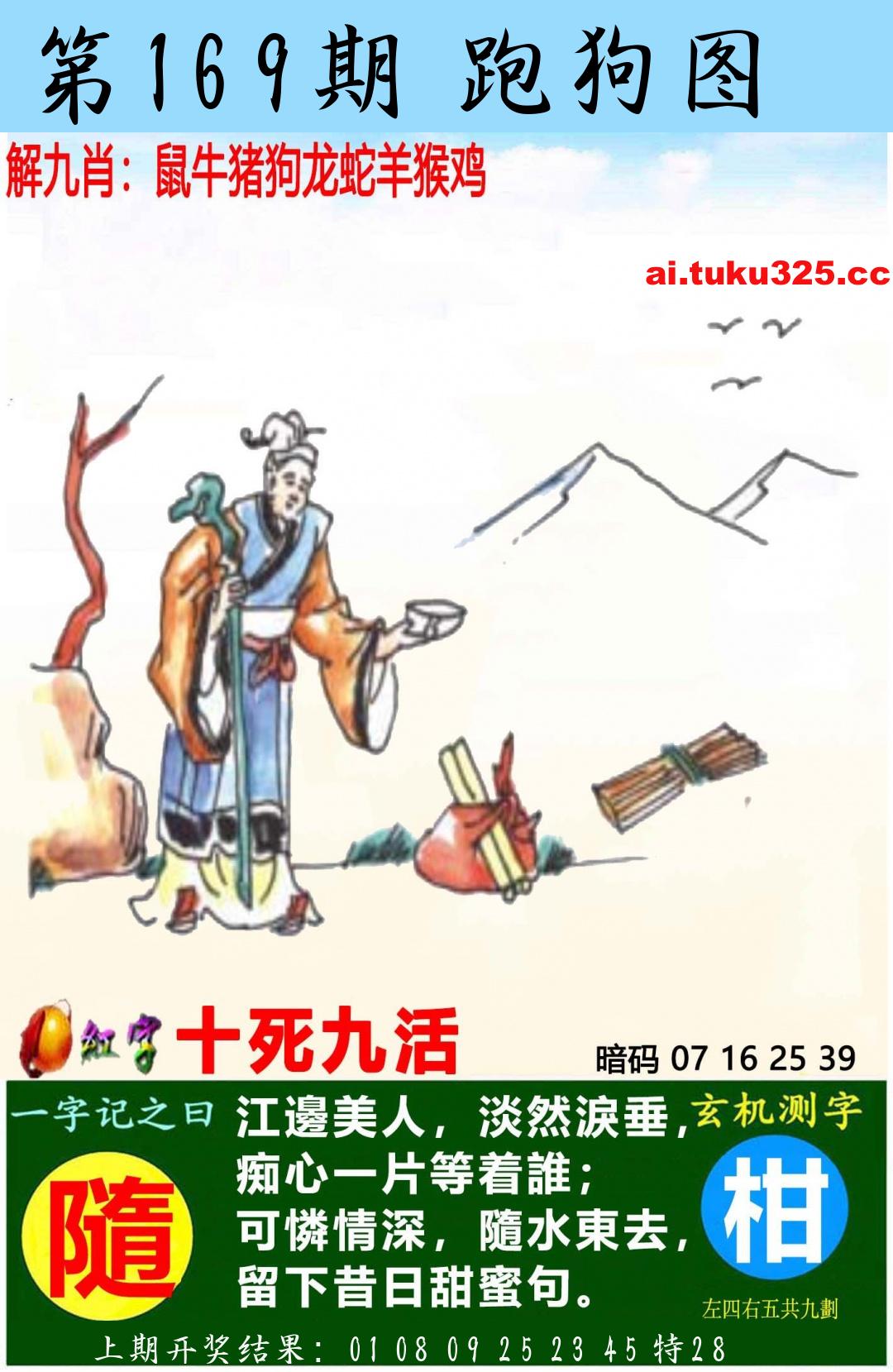 【第169期】南山海上觀音 · 波色方向