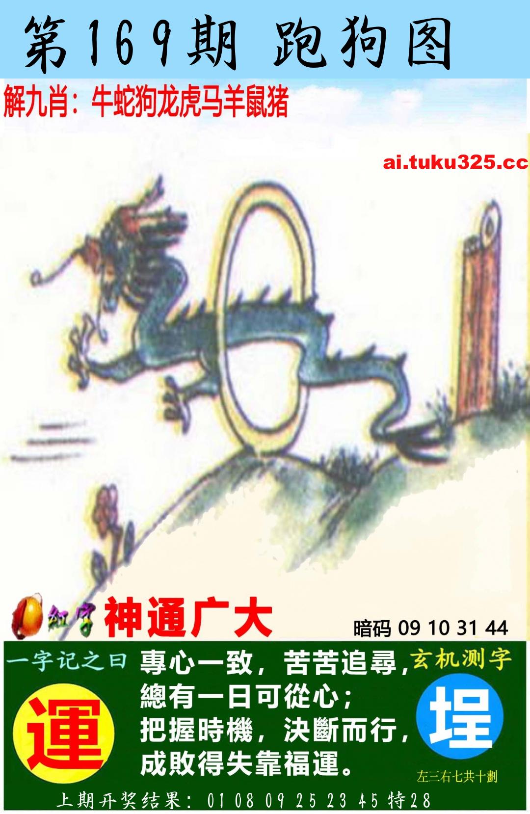 【第169期】南山海上觀音 · 波色方向