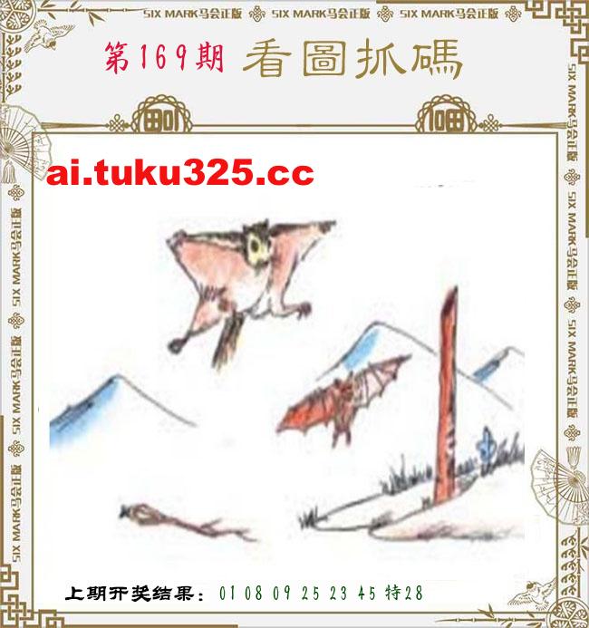 【第169期】龍王發財報 · 精準預測