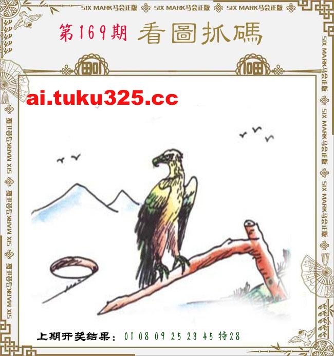 【第169期】龍王發財報 · 精準預測