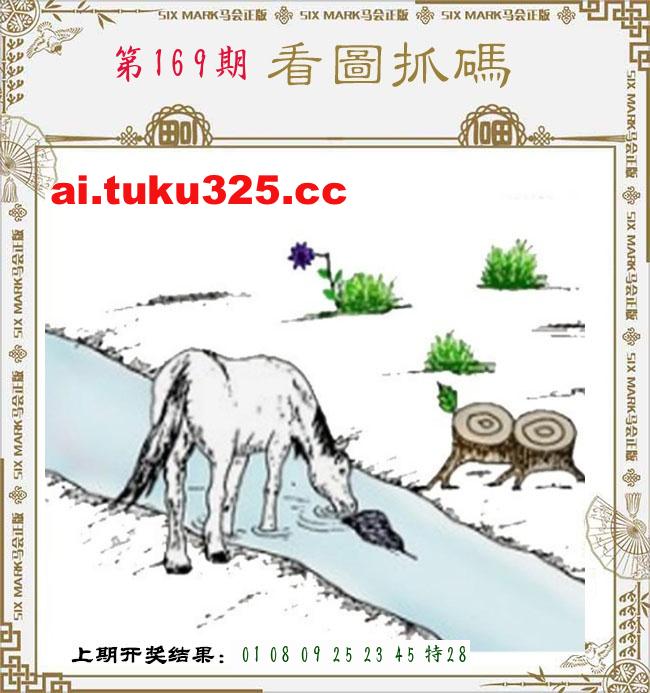 【第169期】龍王發財報 · 精準預測
