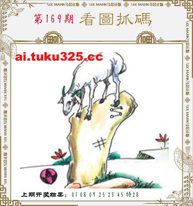 【第169期】龍王發財報 · 精準預測