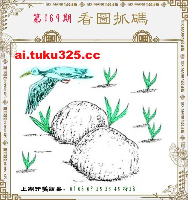 【第169期】龍王發財報 · 精準預測