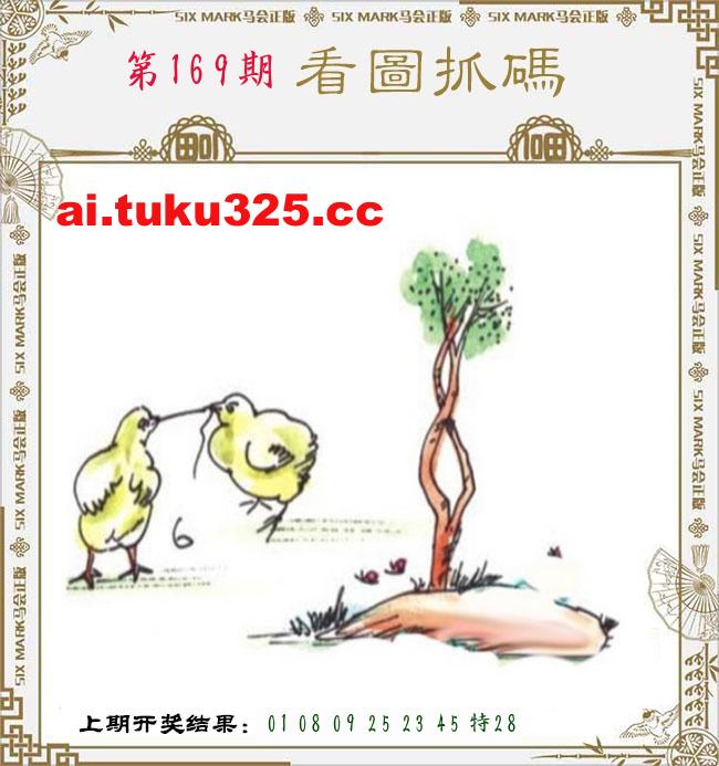 【第169期】龍王發財報 · 精準預測
