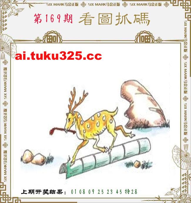 【第169期】龍王發財報 · 精準預測