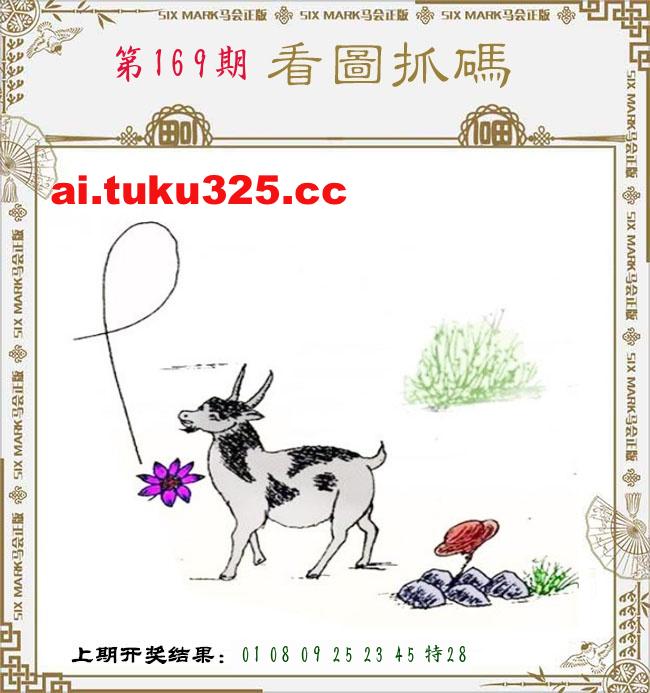 【第169期】龍王發財報 · 精準預測